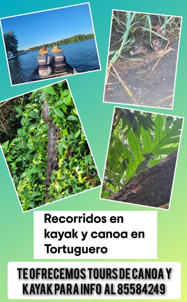 Apartamentos Caiman 3 Tortuguero Exterior foto